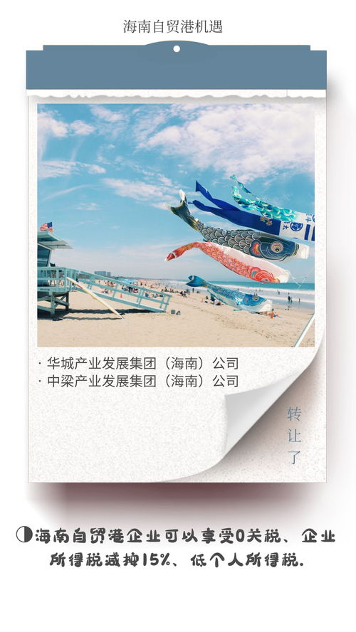 海南自貿港文旅集團與德國企業對比 稅收優勢凸顯，文化藝術交流新機遇